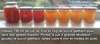 Des Gelees De Fruits Maison Faites En Quelques Minutes Pour 3 Fois Rien Gelee De Fruits Recette Confiture Recette