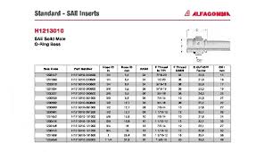 O Ring Boss Size Chart Www Bedowntowndaytona Com