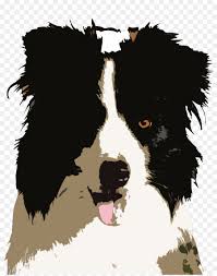 Her owner says, daisy is the best dog i have ever met. Border Collie Png Download 1063 1340 Free Transparent Border Collie Png Download Cleanpng Kisspng