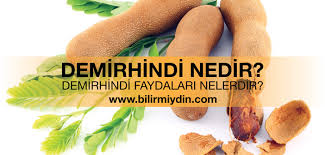 Demirhindi Nedir Demirhindi Faydalari Bilirmiydin Demirhindi Bitki Tatli