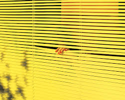 Over 40,000+ cool wallpapers to choose from. Yellow Background Desktop Aesthetic 1000x800 Download Hd Wallpaper Wallpapertip