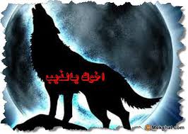 صور ذئب خلفيات ذئاب معلومات كاملة عن الذئاب. Ø§Ù„Ø´Ù…Ø¹ Ù…Ù‚Ø§Ø¨Ù„ ØªØ¨Ø¯ÙŠØ¯ Ø®Ù„ÙÙŠØ§Øª Ø°ÙŠØ¨ Uccrandolph Org