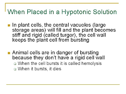 Maybe you would like to learn more about one of these? Diffusion Through A Membrane Diffusion Through A Membrane