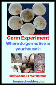 Germ Experiment Are You Curious Which Areas Of Your House Has The Most Germs In This Fun Elementary Stem Activities Germs Activities Science Experiments Kids