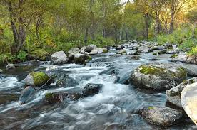 Miami have won 15 out of their last 24 games against milwaukee. Is It Safe To Drink Water From A Stream Able Camper