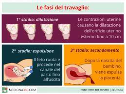 Il travaglio si sviluppa in tre fasi e può effettivamente iniziare iniziare qualche giorno prima che il bambino nasca. Travaglio Sintomi Fasi E Consigli Su Come Affrontare Il Parto Naturale
