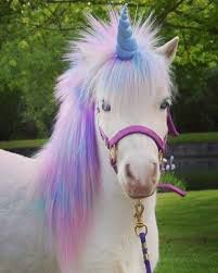 Pin By Claudia On Einhorn Cute Baby Animals Unicorn Pictures Cute Animals