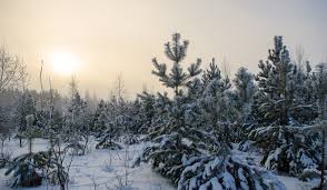 Зимнее солнцестояние называют важным астрологическим событием, которое наполнено мощной силой и энергетическими свойствами. Den Zimnego Solncestoyaniya V 2020 Godu Kakogo Chisla Istoriya Primety