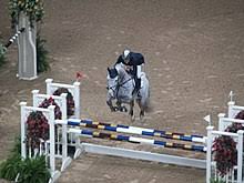 We did not find results for: Liste Der Olympiasieger Im Reitsport Wikipedia