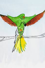 Birds That Start With The Letter V Letter P And Parrot A Style Study By The Painted Pen Watercolor And Ink Alphabet Style Letter P