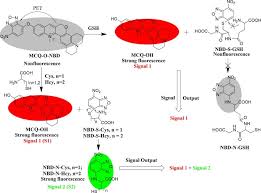 Since cell culture medium affects the growth and proliferation of cell lines, it is extremely important to select a suitable medium. Fluorescent Probe For Simultaneous Discrimination Of Cys Hcy And Gsh In Pure Aqueous Media With A Fast Response Under A Single Wavelength Excitation Sciencedirect