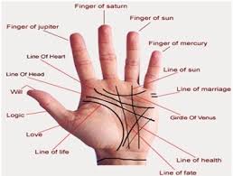 Free Online My Hand Palm Readings Test Astro Report India