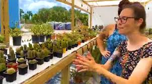 13,478 likes · 426 talking about this · 217 were here. Watch Garden Gallery Wholesale Nursery Now Open In Rockledge Offers Large Selection And Unique Plants