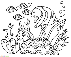 Download cepat himpunan contoh gambar mewarna binatang yang berguna. Download Sketsa Gambar Hewan Yang Gampang Diwarnai Untuk Tk Paud Sd Kanalmu
