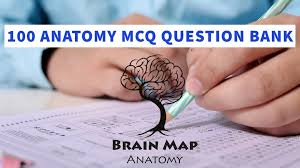 Check spelling or type a new query. Brain Map Anatomy