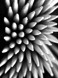 Abstract Black And White Macro Photography Cocktail Sticks Wooden Macro Black And White Texture Photography Abstract Photography Contrast Photography