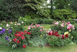 Pin On Gardens