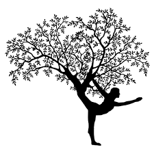 We envision a world made better through. Yoga Baum Kostenloses Stock Bild Public Domain Pictures