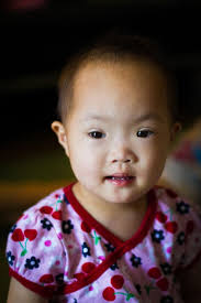 Our Journey to Willow