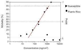 The puerto rico statehood referendum was on the ballot in puerto rico as a legislatively referred statute on november 3, 2020. Insects Free Full Text Susceptibility Of Fall Armyworms Spodoptera Frugiperda J E From Mexico And Puerto Rico To Bt Proteins Html