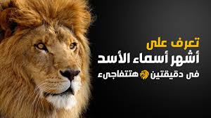 تعرف على اهم و اشهر اسماء الأسد فى دقيقتين وهتتفاجىء Youtube