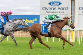 Trainer David O'Prey hopes A Magic Gust can return to winning form at  Wodonga