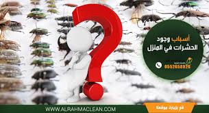 اسباب وجود الحشرات في المنزل Christmas Ornaments Holiday Decor Holiday