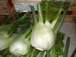 Résultat de recherche d'images pour "fenouil recette"