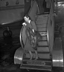 In 1966, virginia hill died of an overdose of sleeping pills in austria. Who Is Virginia Hill Dating Virginia Hill Boyfriend Husband