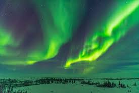Live Stream The Northern Lights Tonight Aurora Borealis Live Stream