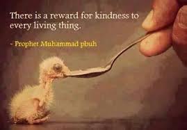 Desertrose Kindness Brings Its Own Rewards Want To See How Well You Are Doing With Your Nutritional Habits Get Your Free No O Islamic Quotes Quotes Islam
