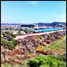 Hanno prima sbagliato ordinazione, poi non hanno detto che i tacos di carne erano finiti e insinuavano che ordinando. Brigantine Seafood Restaurant In Del Mar