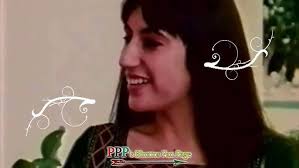 Mein Bhutto Sagar Sindh Da (Song) poet Nasreen Anjum Bhati, singer Faheem  .wmv