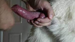 Search: female dog anal 1 converted - All Bestiality in one place