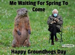 Collection Of Groundhogs Day Memes 2021 Guide For Moms Search, discover and share your favorite groundhog gifs. collection of groundhogs day memes 2021