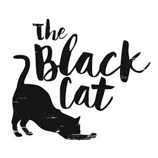 Image result for the black cat summary