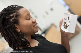 Soundtrack of spring: Professor's research makes surprising discovery about  cicadas