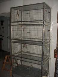 Used Bird Cages For Sale Near Me Parrot Breeding Cages Parrot Cage Parrot Toys Cage