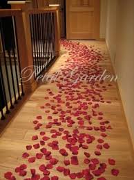 Valentine rose scarlet petals (dirtydollars) is on facebook. Romantic Items Freeze Dried Rose Petals Dried Rose Petals Silk Rose Petals