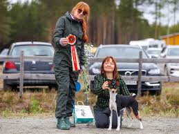 Tulokset – Savo-Karjalan Vinttikoiraharrastajat ry