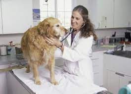 Vets do work so hard, especially rural vets, she says. Bureau Of Labor Statistics