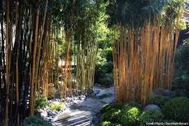 Un Jardin Japonais Aux Portes De Lille Jardin Japonais Les Plus Beaux Jardins Jardins