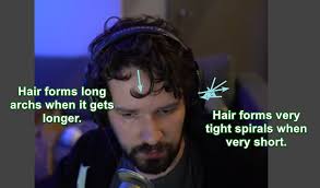 Destiny's ACTUAL best hair. Imagine cutting your hair short when you have  naturally curly, textured hair like this. Women love this shit, start using  product and start styling it. : r/Destiny