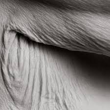 Photographer Captures Stunning Close Up Portraits Of 100 Year Old People Art Sheep Scientist research for new novel corona virus immunization drug concept. photographer captures stunning close up