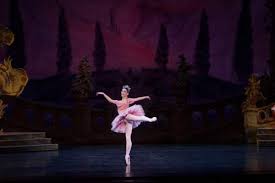 They can be found with varying leaf sizes in many different, stunning, colours and shades.they produce small flowers on nodding stems some. Ballet West Awes Kennedy Center Crowd With Nutcracker The Salt Lake Tribune