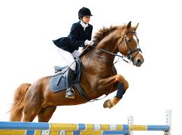 1,966 likes · 95 talking about this. Ve Spravnou Dobu Spravne Rozhodnuti Studium Na Uk Olympiada V Riu 2016