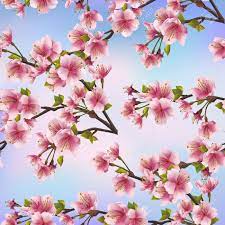 Cherry blossoms are the flower on any of several types of cherry tree, notably the japanese cherry. Background Seamless Pattern With Sakura Tree Beautiful Japanese Royalty Free Cliparts Vectors And Stock Illustration Image 20287054