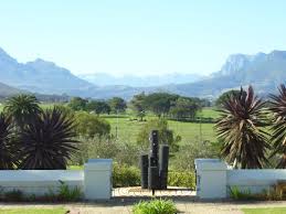 4.3 out of 5 stars with 47 ratings. Night Lights Picture Of The Wild Mushroom Luxury Country House Stellenbosch Tripadvisor