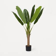 The letters r down !! Artificial Plants Artificial Flowers Buy Plastic Plants Flowers Kmart