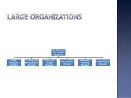 organizational structure of a human resource department